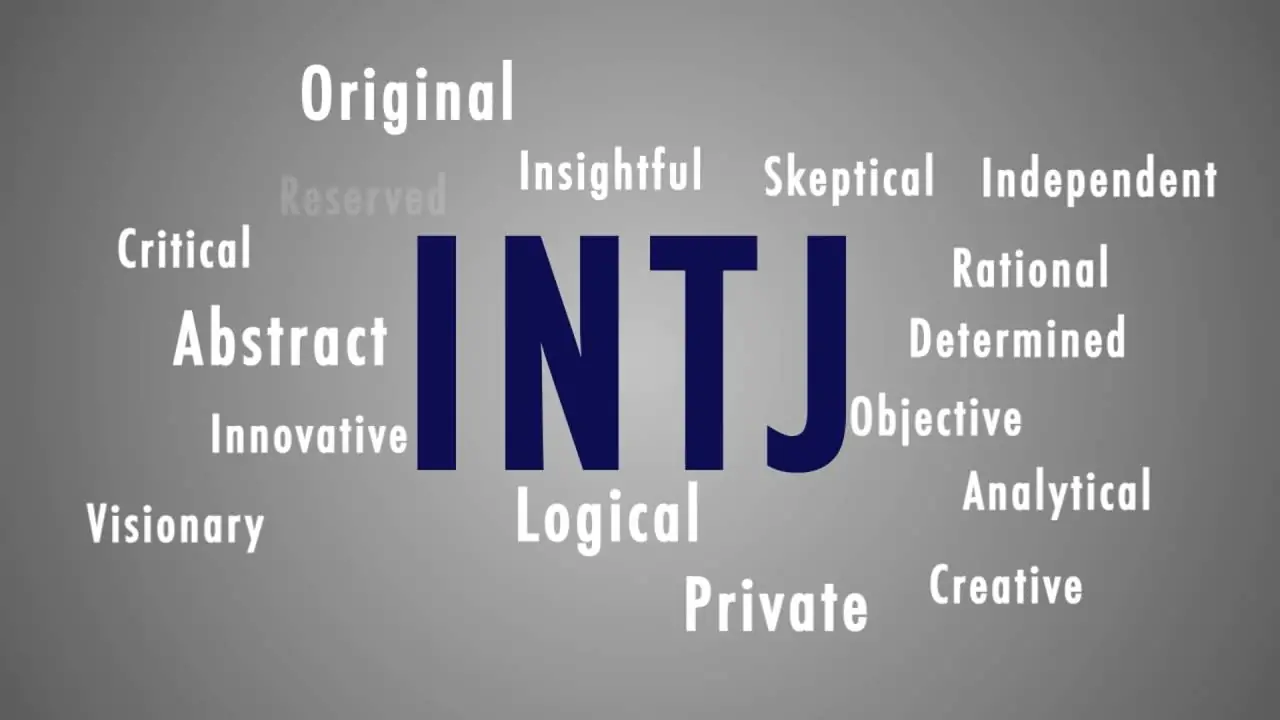 Read more about the article All About the INTJ Personality Type (The Mastermind)​